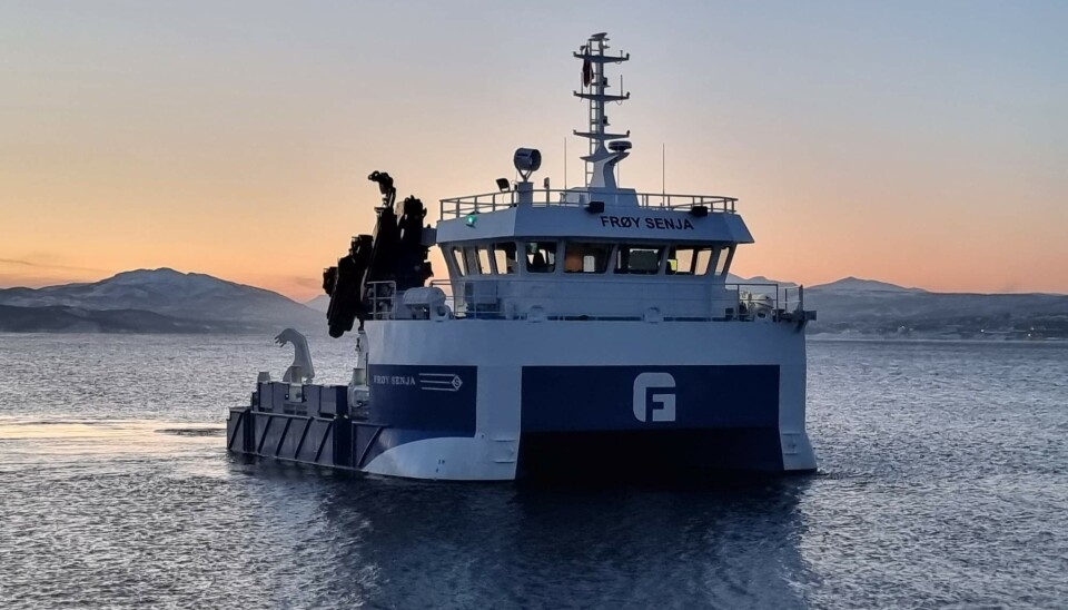 «Frøy Senja» i fint driv.