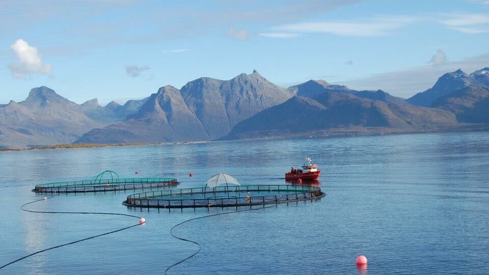 Arkivfoto fra Cermaq i Hammerfest. Foto: Cermaq.
