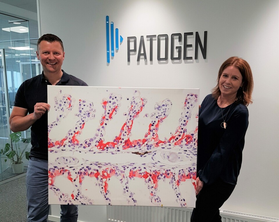Salgs- og Markedsdirektør Ove Gjelstenli og laboratoriedirektør Birgit Myklebusti PatoGen forteller at de har inngått samarbeid med Fürst om histologi. Bildet som de holder er tatt av Mona Gjessing (Veterinærinstituttet), og ble gitt som gave til Pathogens tiårsjubileum. Foto: Patogen