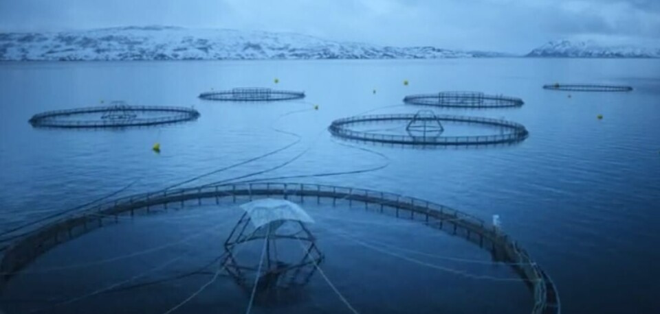 En av lokalitetene til Ellingsen Seafood. Foto: Skjermdump Ellingsen Seafood video.
