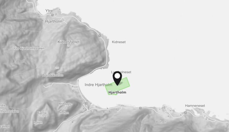 Mattilsynet opplyser at Mowi-lokaliteten Hjartholm har fått påvist PD forårsaket av SAV2 og SAV3. Kartillustrasjon: Barentswatch.
