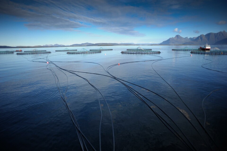 Cermaq lokalitet i Nord-Norge. Illustrasjonsfoto: Cermaq.