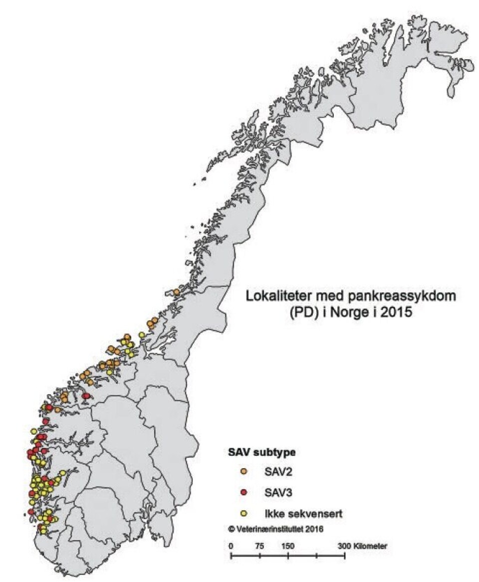 PD utbrudd 2015. Kilde Fiskehelserapporten. (Klikk for større) PD utbrudd 2015. Kilde Fiskehelserapporten. (Klikk for større)