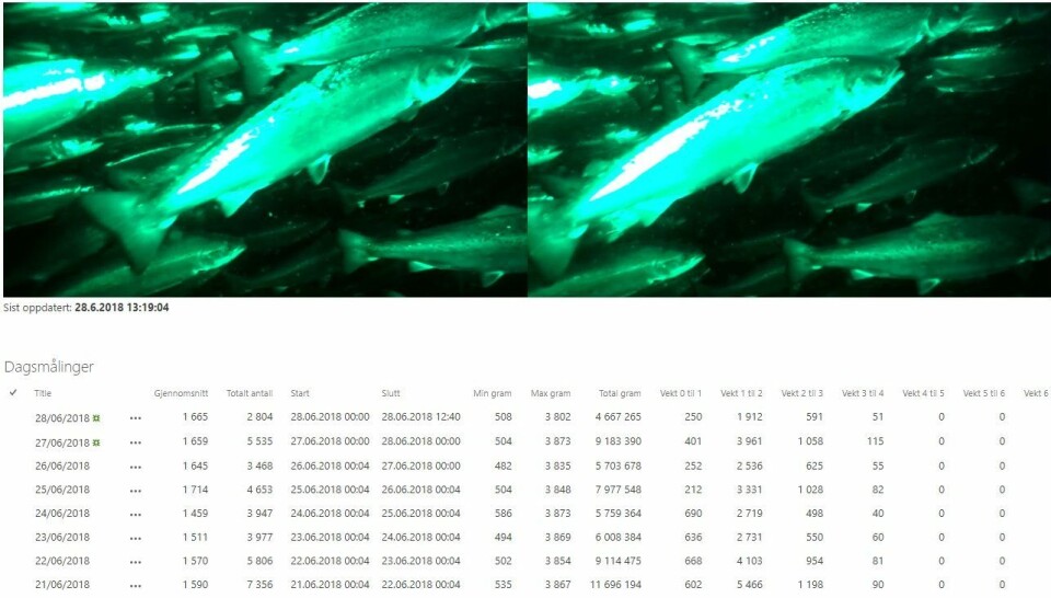 Skjermdump av illustrasjonsfoto av biomassemåler. Her ser du statistikk fra en test utført av selskapet. Videobilder fra merdkanten oppdateres kontinuerlig og viser høy aktivitet i merden. Klikk for større bilde.