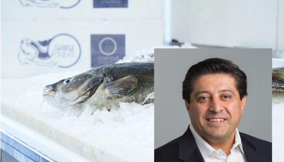 Kia Zadegan går inn som ny driftsdirektør. Foto: LinkedIn/Norcod