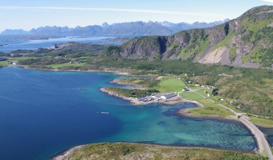 Oversiktsfoto av anlegget til Lødingen Fisk i Vestbygd. Foto: Lødingen Fisk.