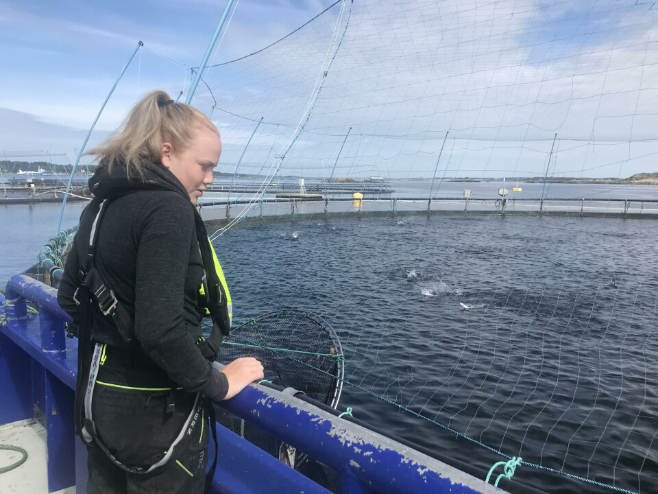 Sommervikar:Emilie Kyrkjebø (17) har i sommer vært sommervikar hos Måsøval og følger med på fôringen av neste års slaktelaks. Foto: Anna Lian.