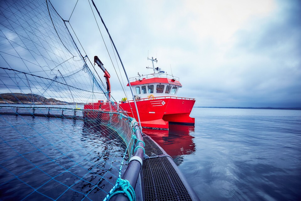 Espnestaren lokalitetsbilde, med arbeidsbåt Anne Kristin. Foto: Måsøval Fiskeoppdrett.