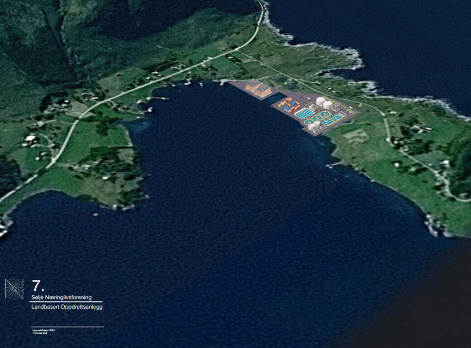 Selje kommune har no fått inn fleire forslag om oppdrettsvirksomhet ved steinmassene i området nær Stad Skipstunnel. Eit av forslaga er eit oppdrettsanlegg på land. Illustrasjon: Heads & Tales.