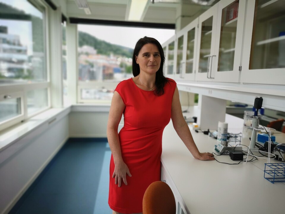 Daglig leder Siri Vike viser Kyst.no rundt i deres splitter nye lokaler på Marineholmen i Bergen. Foto: Ole Andreas Drønen. Daglig leder Siri Vike viser Kyst.no rundt i deres splitter nye lokaler på Marineholmen i Bergen. Foto: Ole Andreas Drønen.