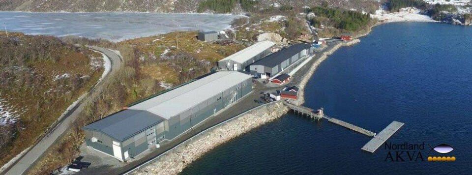 Flyfoto av settefiskanlegget i Engavågen. Foto: Robert Normann.