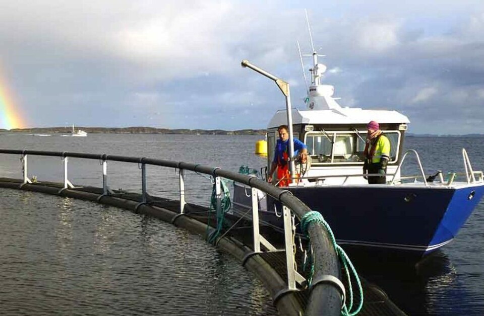 Merd, havbrukstjenesten, arbeidsbåt, røktere