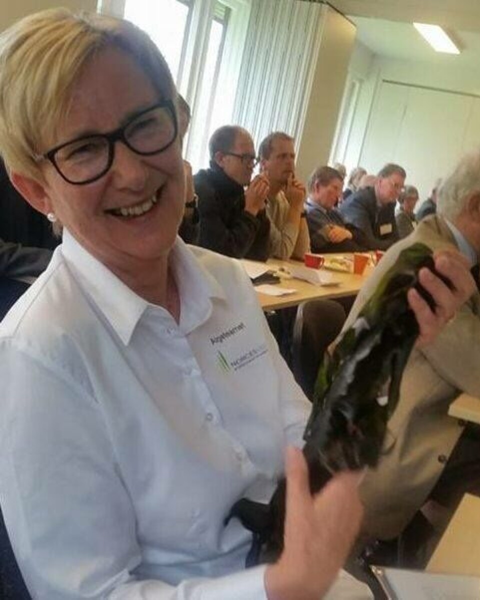 Lill-Ann Gundersen, seniorrådgiver i Norges Vel. Foto: Algenytt. Lill-Ann Gundersen, seniorrådgiver i Norges Vel. Foto: Algenytt.