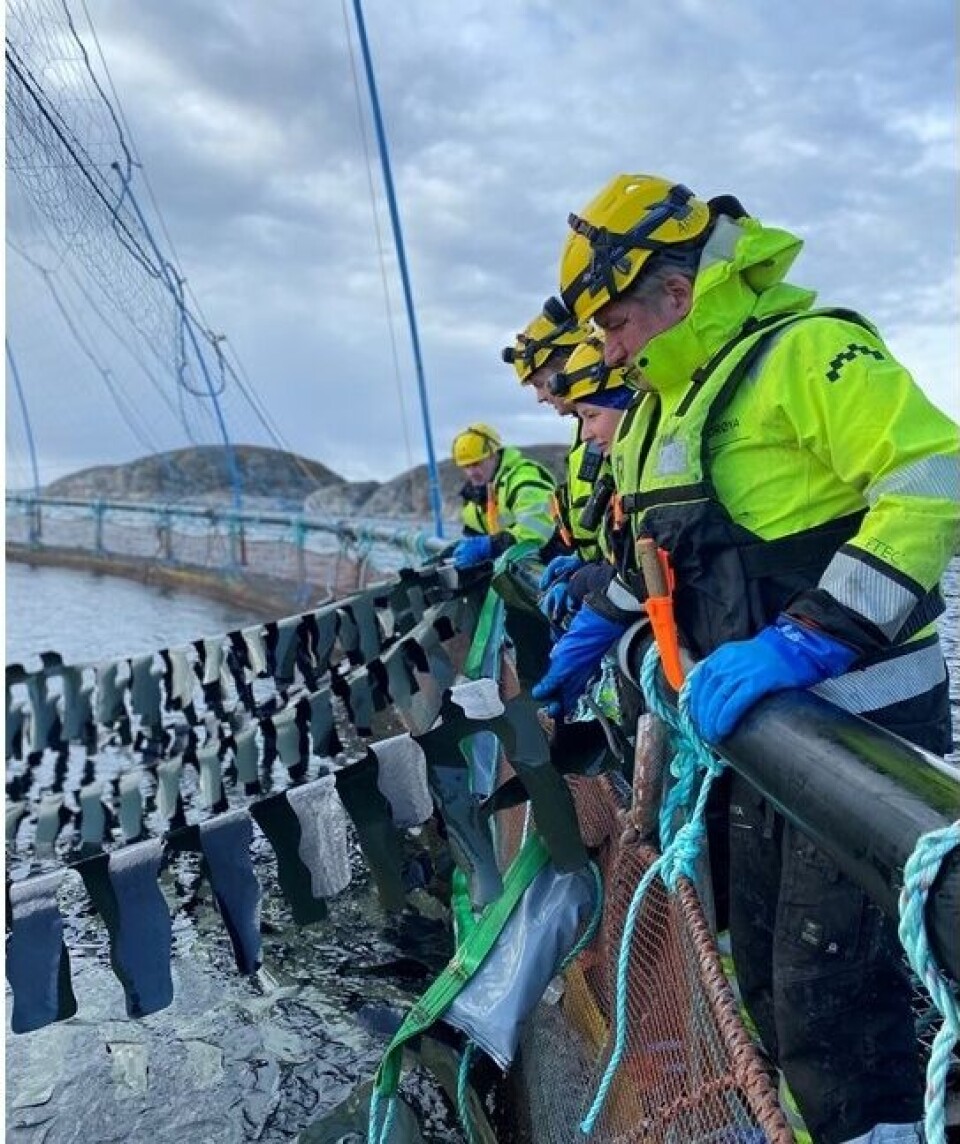 Gjengen fra oppdrettsselskapet Bjørøya. Fra venstre: Geir Hanssen, Alexander H. Breistrand, Oda Sofie T. Blengsli, og Arne Olav Dahle. Foto: Fredrik Dahle Klocke Gjengen fra oppdrettsselskapet Bjørøya. Fra venstre: Geir Hanssen, Alexander H. Breistrand, Oda Sofie T. Blengsli, og Arne Olav Dahle. Foto: Fredrik Dahle Klocke