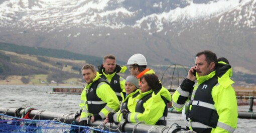 Plany styrker servicen på merdkanten gjennom samarbeid med Mørenot