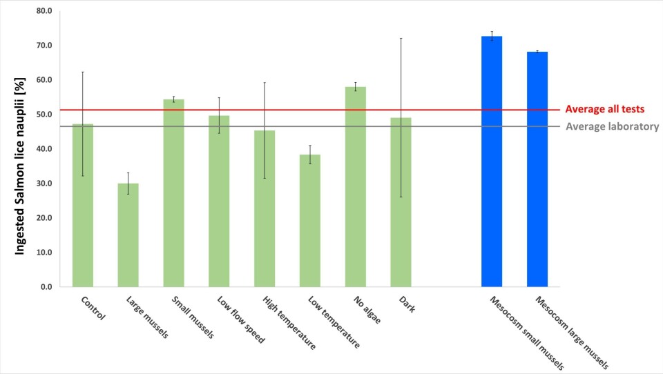 Foreløpige resultater fra LiceFilter (Klikk for større bilde). Tabell: NTNU.