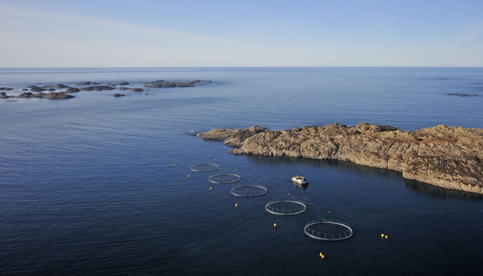 Ein av lokalitetane til Bremnes Seashore. Foto: Bremnes Seashore
