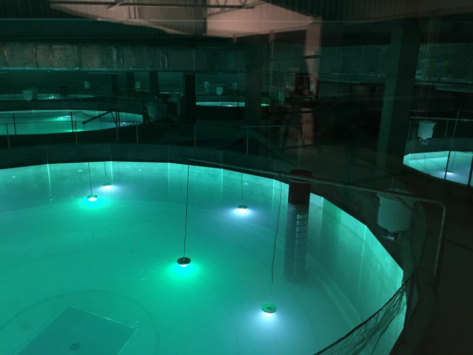 Innovasjon Norge håper at norsk-polsk samabeid skal føre til mer landbasert oppdrett i Polen, og gode salgsmuligheter for norske utstyrleverandører. Foto: Jurassic Salmon.