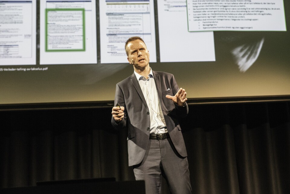 Espen Børrud, Stingrays sjef for programmering og utvikling