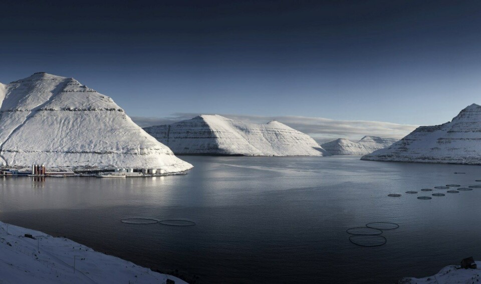 Nordea tror at Bakkafrost vil levere et godt fjerdekvartalsresultat. Bilde viser lokaliteten ved Fuglafjørdur. Foto: Bakkafrost. Nordea tror at Bakkafrost vil levere et godt fjerdekvartalsresultat. Bilde viser lokaliteten ved Fuglafjørdur. Foto: Bakkafrost.