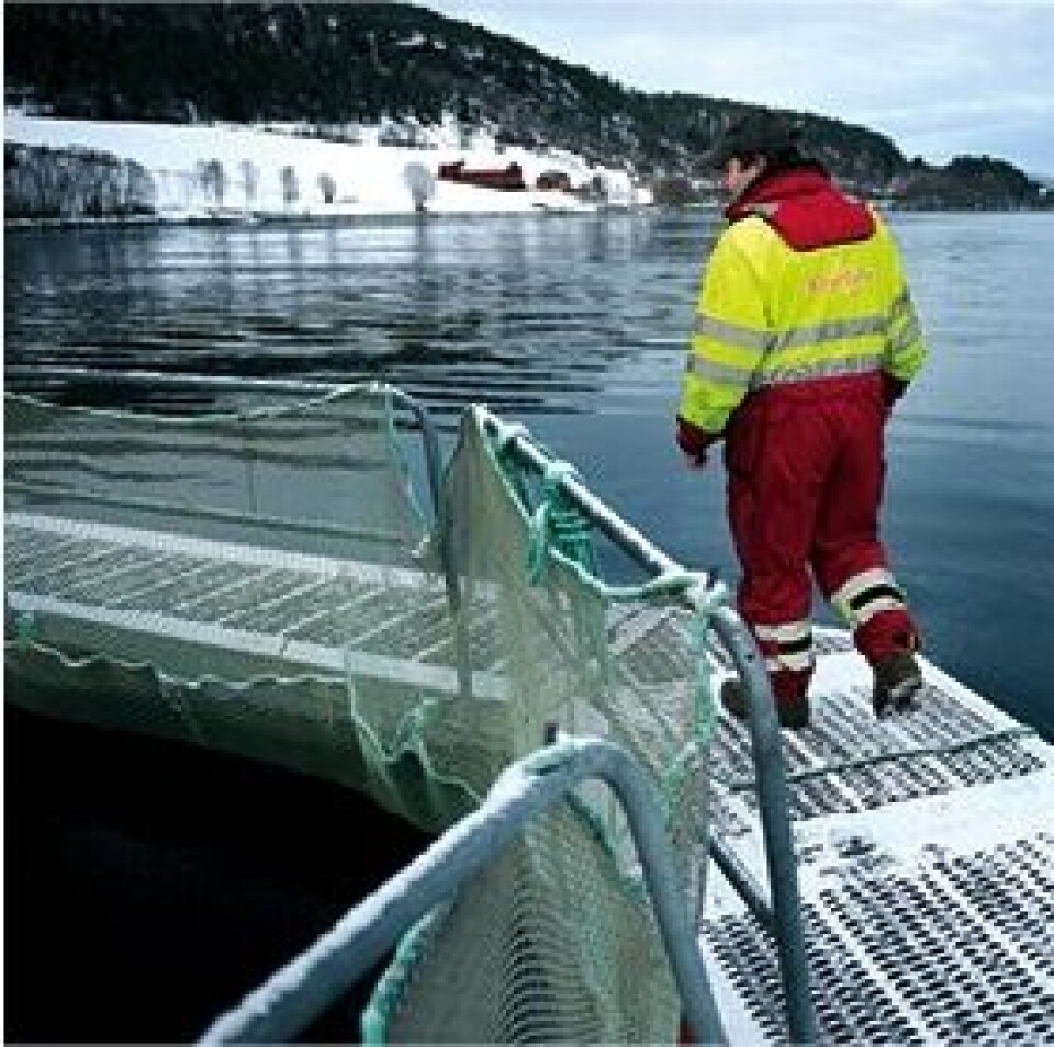 Oppdrett. Illustrasjonfoto: Fellesforbundet.