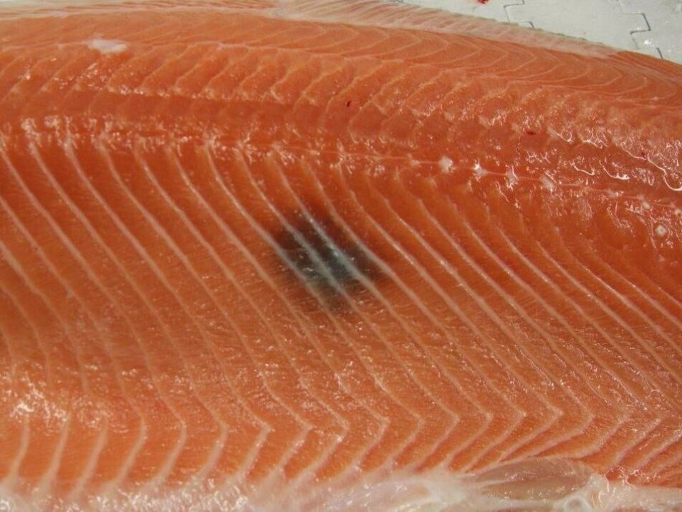 Melaninflekker som dette, gjør at laksen ikke kan kalles superior eller ordinær, og blir dermed stemplet som produksjonsfisk. Foto: Nofima