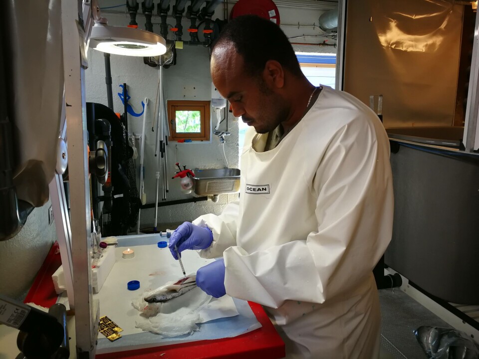 Shiferaw Jenberie disputerte 4.mars 2020 for graden PhD i naturvitenskap. Foto: UiT