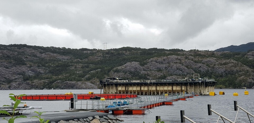 Den syvende batchen av fisk har akkurat blitt satt ut i merd i åpen sjø, og Preline klargjøres for en ny batch med fisk. Klikk for større bilde. Foto: Anette Elde Thomsen/Kyst.no. Den syvende batchen av fisk har akkurat blitt satt ut i merd i åpen sjø, og Preline klargjøres for en ny batch med fisk. Klikk for større bilde. Foto: Anette Elde Thomsen/Kyst.no.