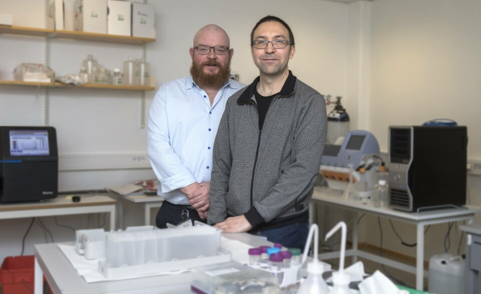 prosjektleder Igor Babiak og en stolt dekan ved Fakultetet for biovitenskap og akvakultur, Ketil Eiane. Foto: Nord universitet prosjektleder Igor Babiak og en stolt dekan ved Fakultetet for biovitenskap og akvakultur, Ketil Eiane. Foto: Nord universitet