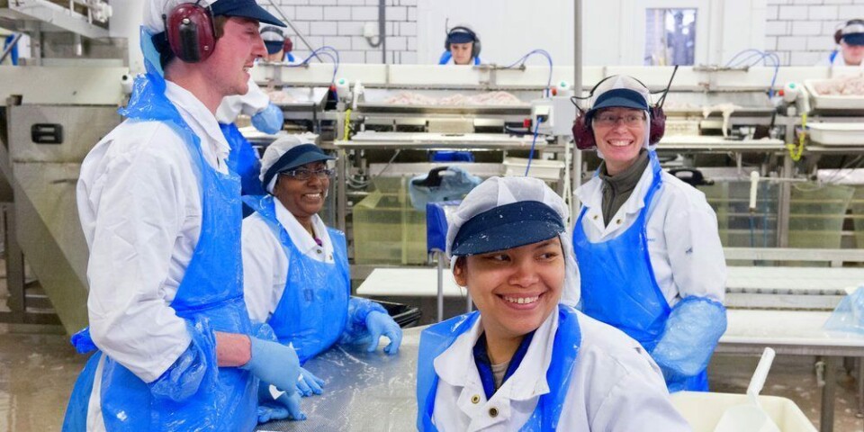 Sjømat Norge mener ansatte i Sjømatnæringa må prioriteres å teste for Covid-19. Foto: Sjømat Norge.