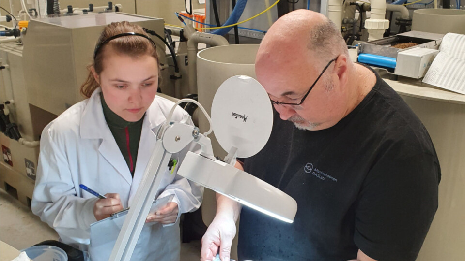 Margit Jakobsen fra AkvaFresh og Mark Powell fra Marineholmen RASlab har gjort forsøk med luseinfisert laks og forskjellige badebehandlingssammensetninger. Resultatene er svært interessante. Foto: Marineholmen RASlab.