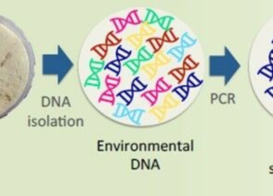 DNA-strekkoding. Foto: Fiskeri- og habruksnæringens forskningsfond. DNA-strekkoding. Foto: Fiskeri- og habruksnæringens forskningsfond.