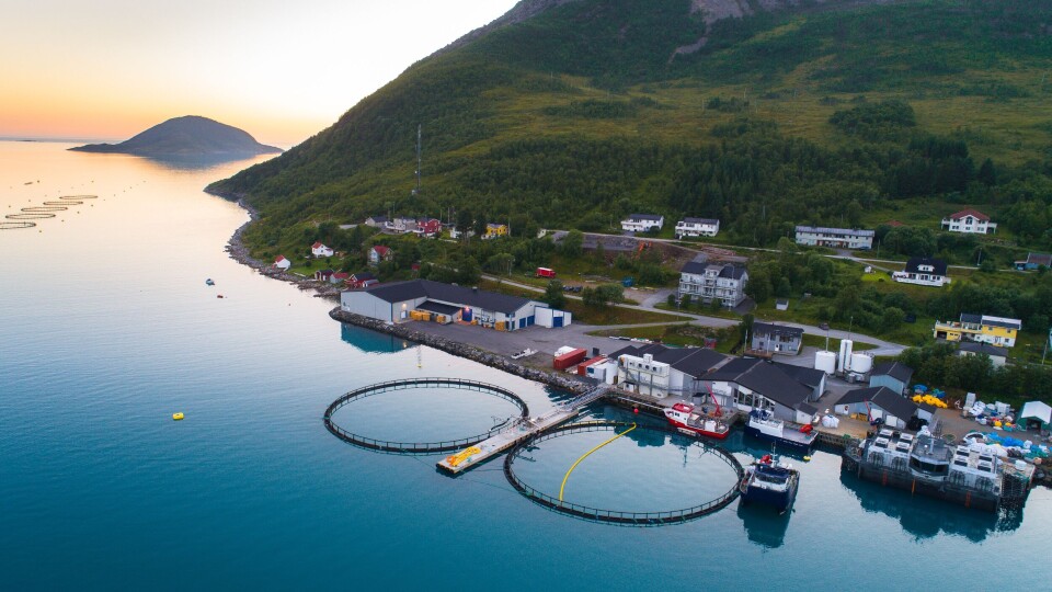 Wilsgård Fiskeoppdrett AS har hovedkontor i Torsken på Senja. Foto: Thomas Rasmussen.