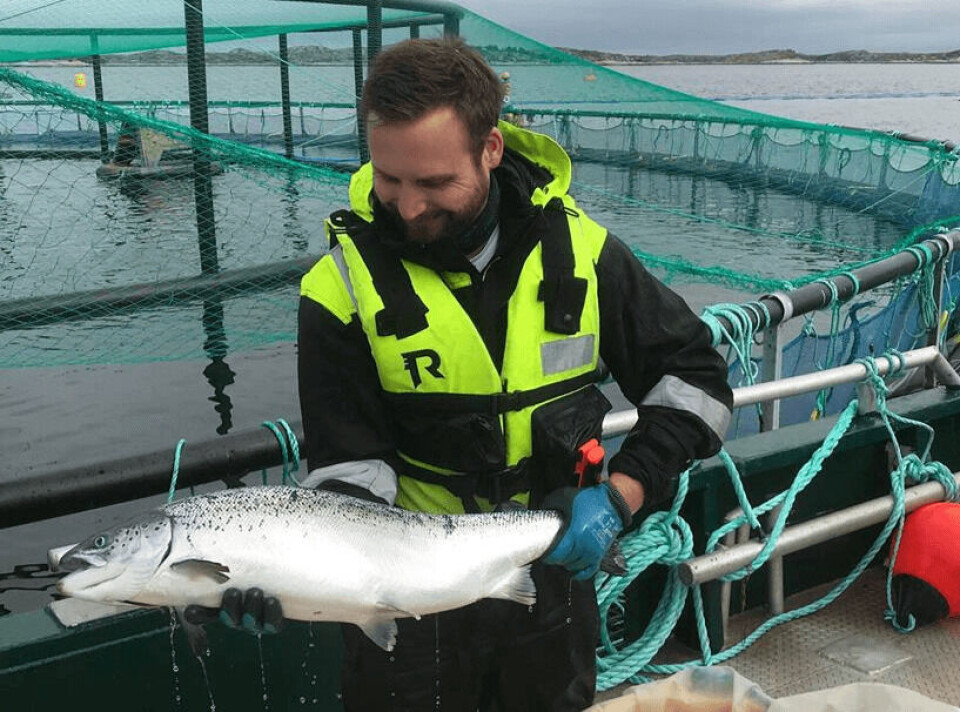 Magne Pettersen i Nekton Havbruk viser frem en av deres laks som har fått mye marint råstoff i fôret sitt. Noe selskapet påpeker har gjort kvaliteten vesentlig bedre. Foto: Nekton Havbruk.