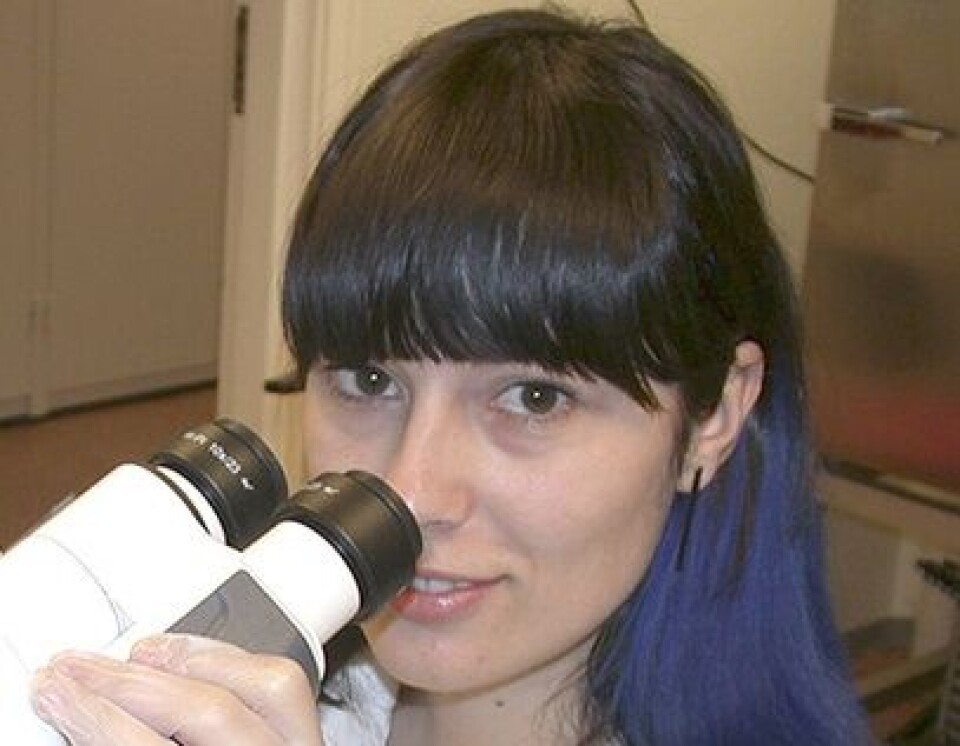 Marijana Todorèeviæ Nofima