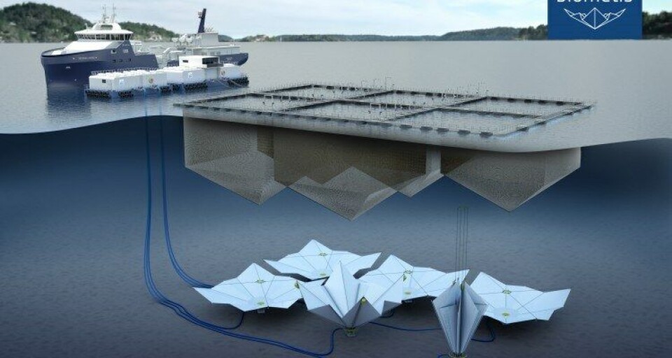 Blom har søkt om utviklingstillatelser til et system for oppsamling og håndtering av slam fra oppdrettsnæringen kalt Biometis. Foto: Blom Fiskeoppdrett AS