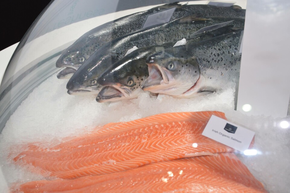 Laks, filet, åpen munn, Marine Harvest