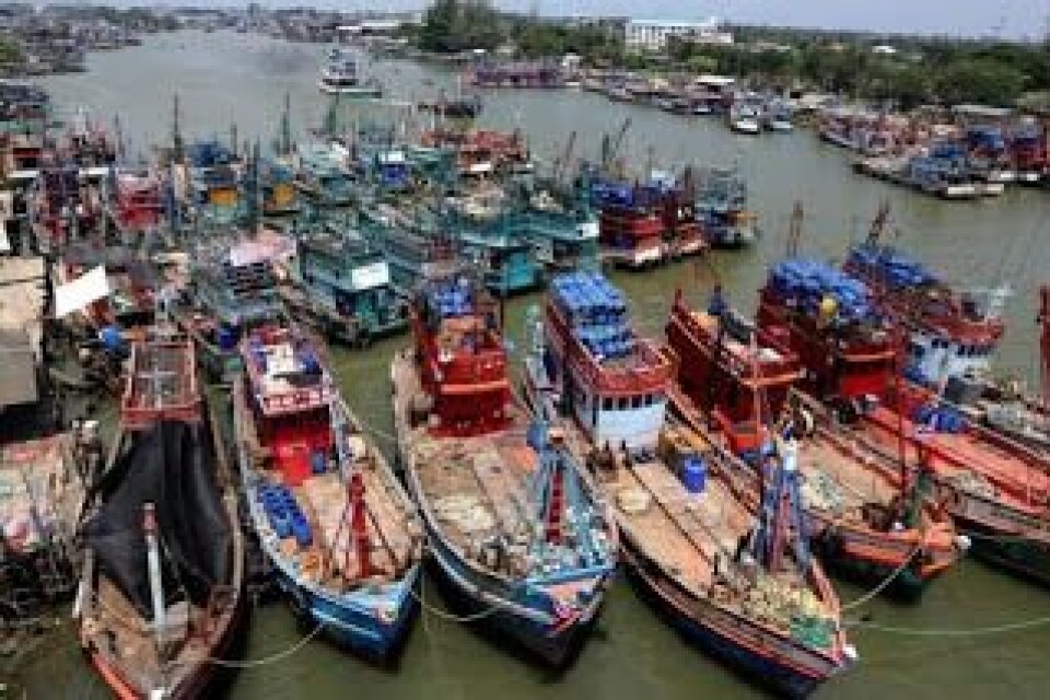 Thailand, sjømat. Foto: Thai Nytt