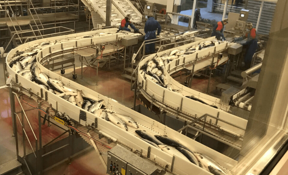 Prototypen til MicroClean er kjørt industrielt hos Nordlaks Produkter AS over 8 mnd, hvor teorien er bekreftet i praksis. Illustrasjonsfoto: MicroClean Prototypen til MicroClean er kjørt industrielt hos Nordlaks Produkter AS over 8 mnd, hvor teorien er bekreftet i praksis. Illustrasjonsfoto: MicroClean