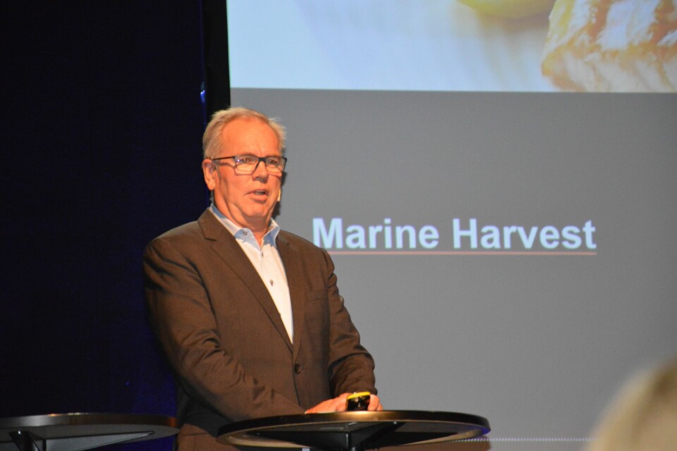 Styreleder Ole Eirik Lerøy i Marine Harvest. Foto: Therese Soltveit.