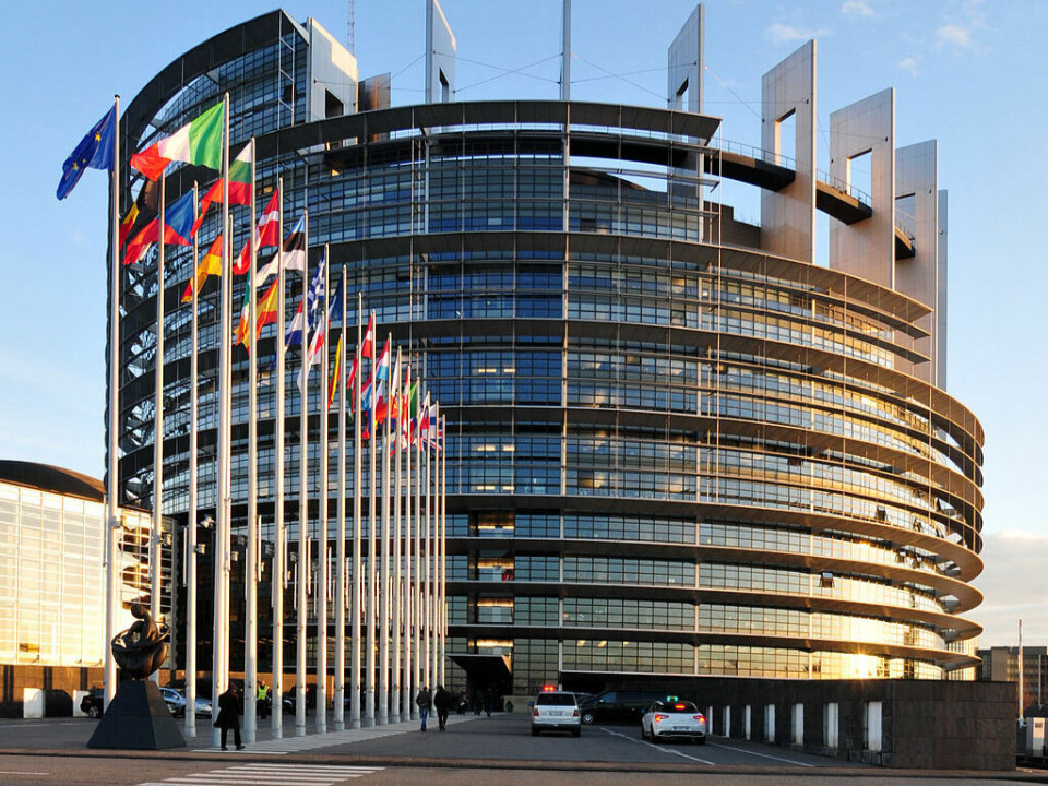 EU-parlamentet vil ikke ha noen MRL for imidalcloprid i akvatiske dyr. Foto: Ralf Roletschek/Wikipedia.