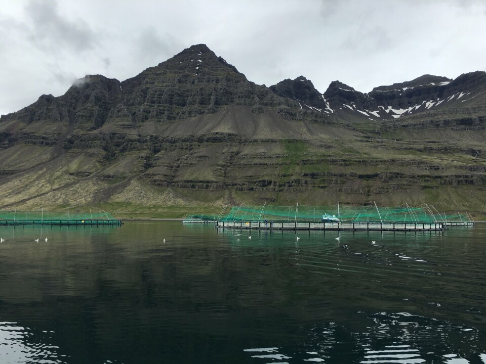 Foto: Ice Fish Farm