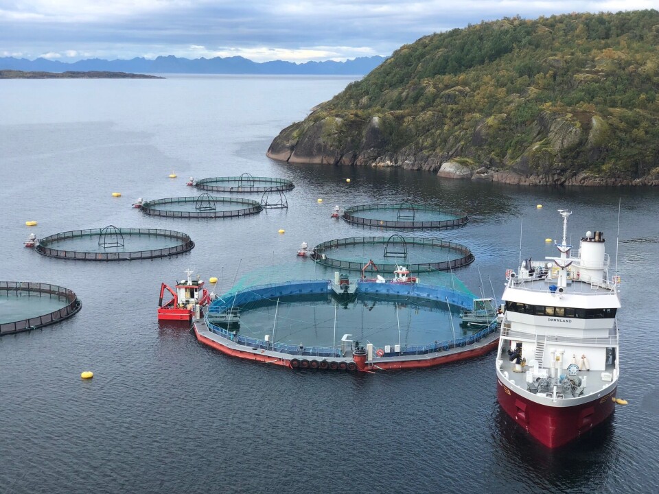 Første utsett av smolt i den nye lukka merden til Cermaq i Horsvågen. Foto: Cermaq. Første utsett av smolt i den nye lukka merden til Cermaq i Horsvågen. Foto: Cermaq.