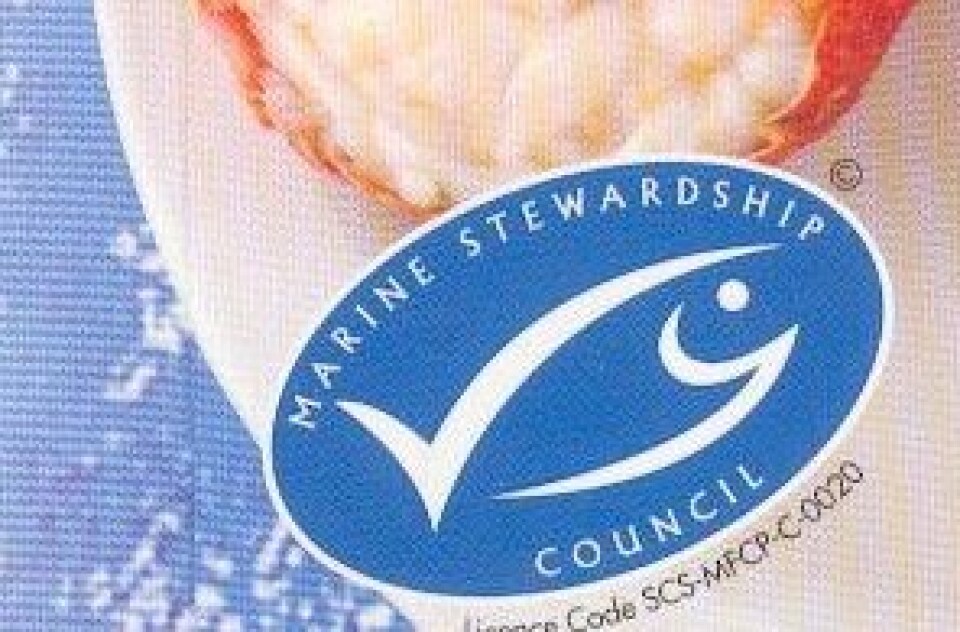 msc-produkt1