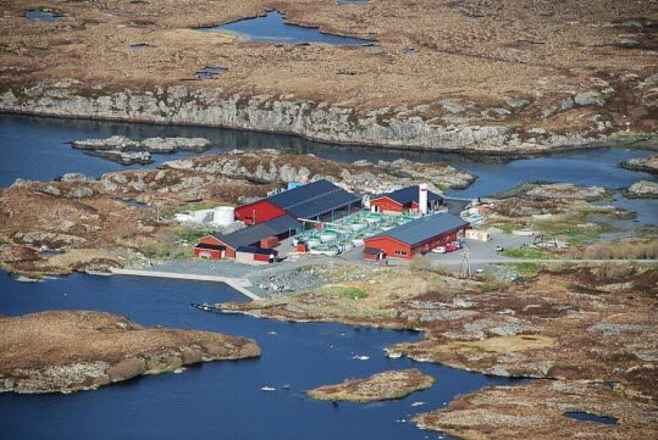Smøla Klekkeri og Settefiskanlegg. Foto: Møre og Romsdal kommune.
