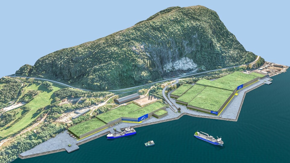 Nekst landanlegg skal etter planen bygges i Florø. Illustrasjon: Nekst.