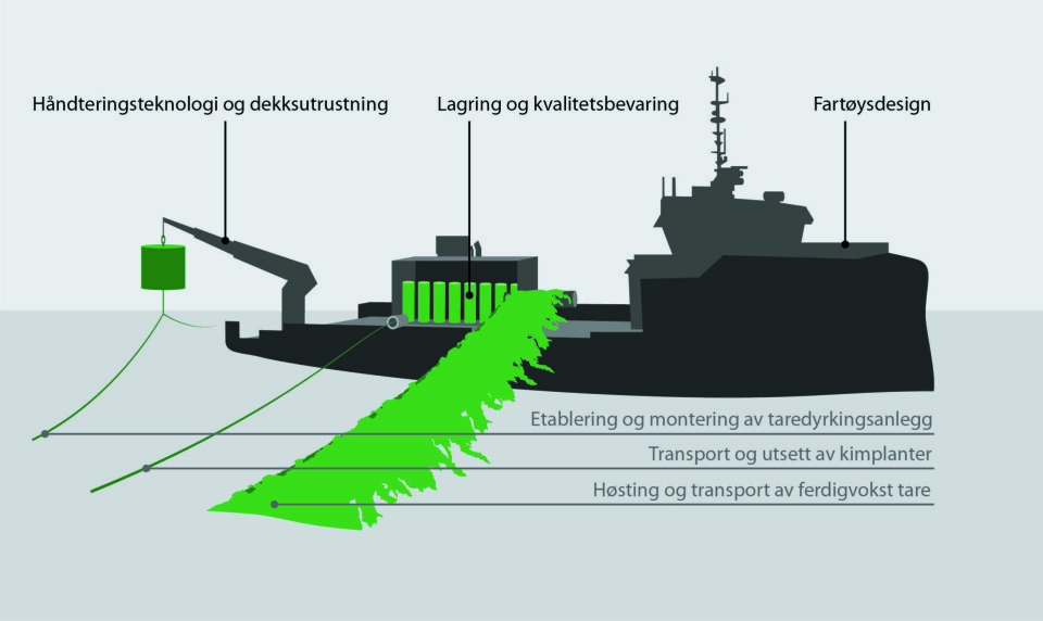 En illustrasjon av tarefartøyet. Illustrasjon: Sintef Ocean. En illustrasjon av tarefartøyet. Illustrasjon: Sintef Ocean.