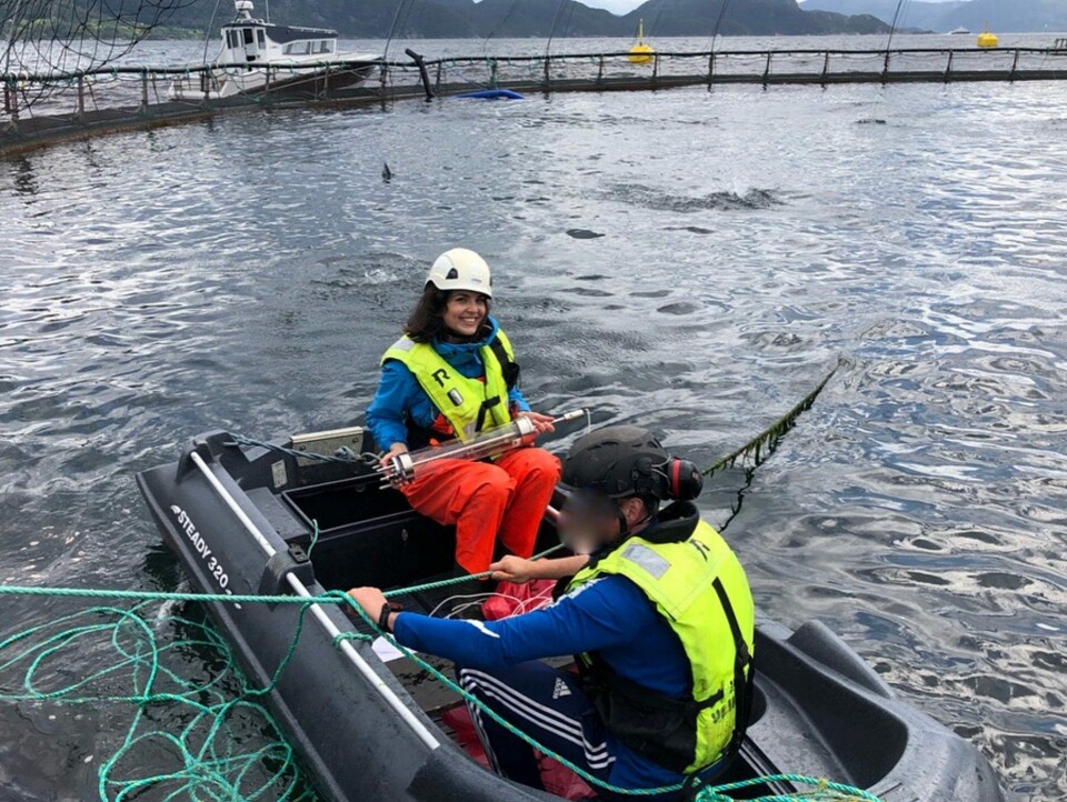 Lisa Victoria Bernhardt på feltforsøk. Foto: Veterinærinstituttet