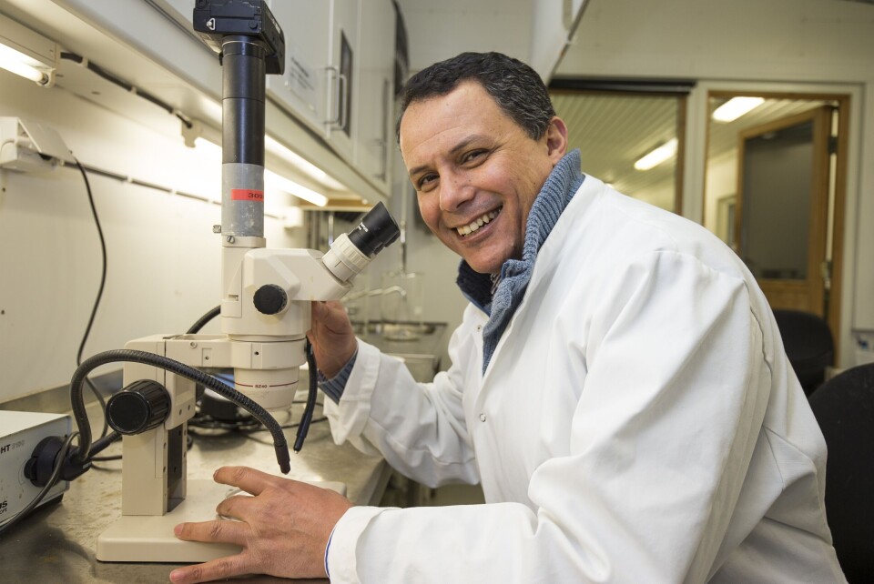 Adel Lab Dirdal. Foto: Ewos