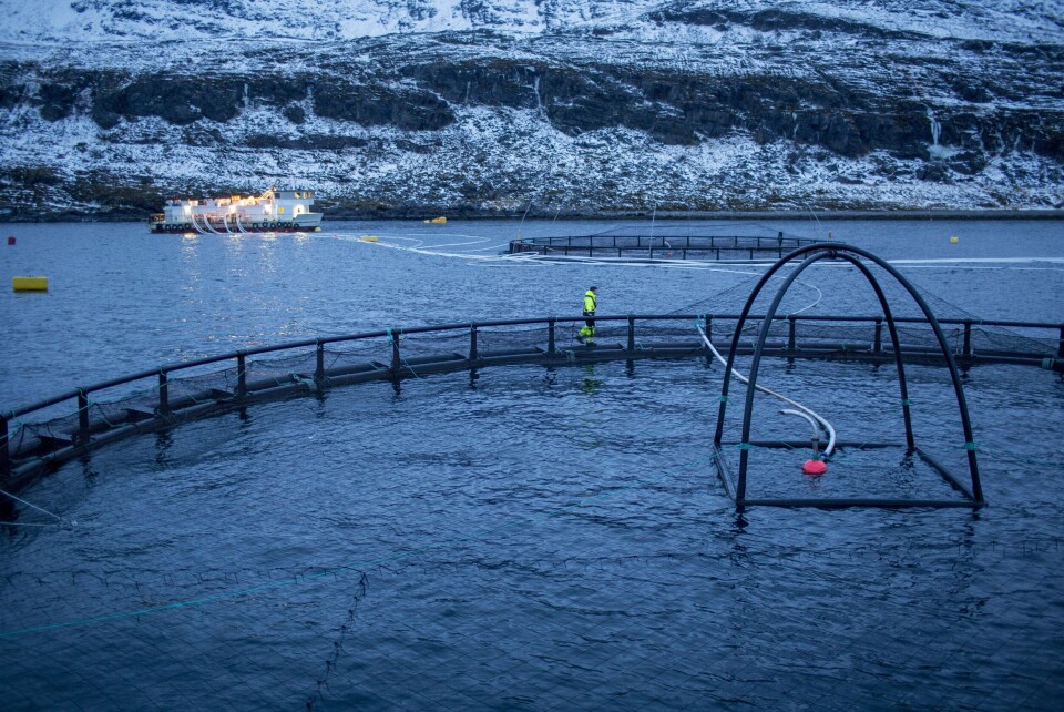 Arctic Salmon Research Centre. Foto: Ewos.